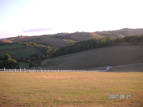 s_PICT0279.jpg